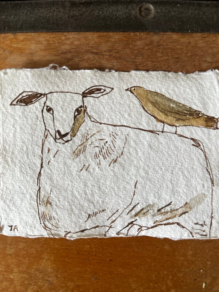 Image of Sheep and lodger. 