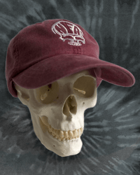 Image 1 of NFA Skull Dad Hat (Vintage Red)