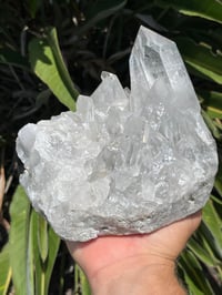 Image 6 of Clear Quartz Points Cluster Statement Piece #2446