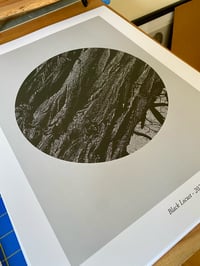 Image 3 of Black Locust 16" x 20" print 