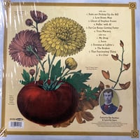 Image 2 of Squirrel Nut Zippers - Perennial Favorites 