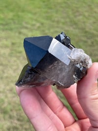Image 5 of Smoky Quartz Points Cluster #2000