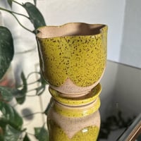 Image 3 of Tulip Planters