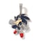 Image of Iced Out Sonic