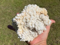 Image 9 of Calcite Crystal Cluster Reef Formation #994