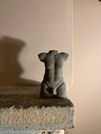 Image 3 of CEMENT MALE - 2