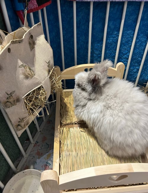 Image of Handmade Hanging Hay Bag