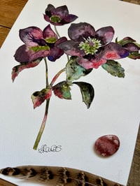 Image 2 of "Hellebore" Original