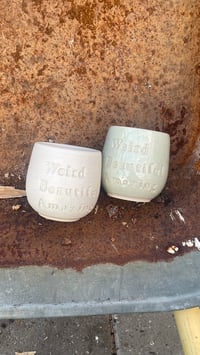 Image 1 of Weird Beautiful Amazing 