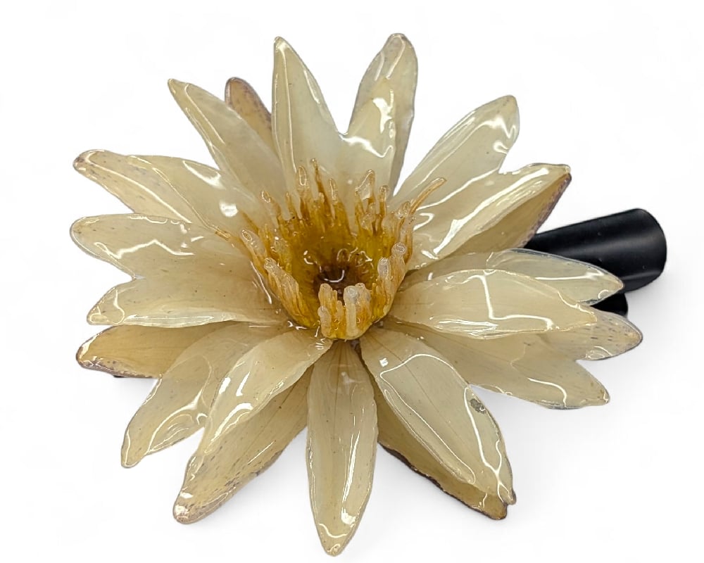 Image of Waterlily Hair Clip (Cream & Yellow)