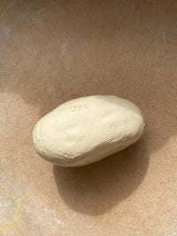 Image 4 of Frequency Rattle #7