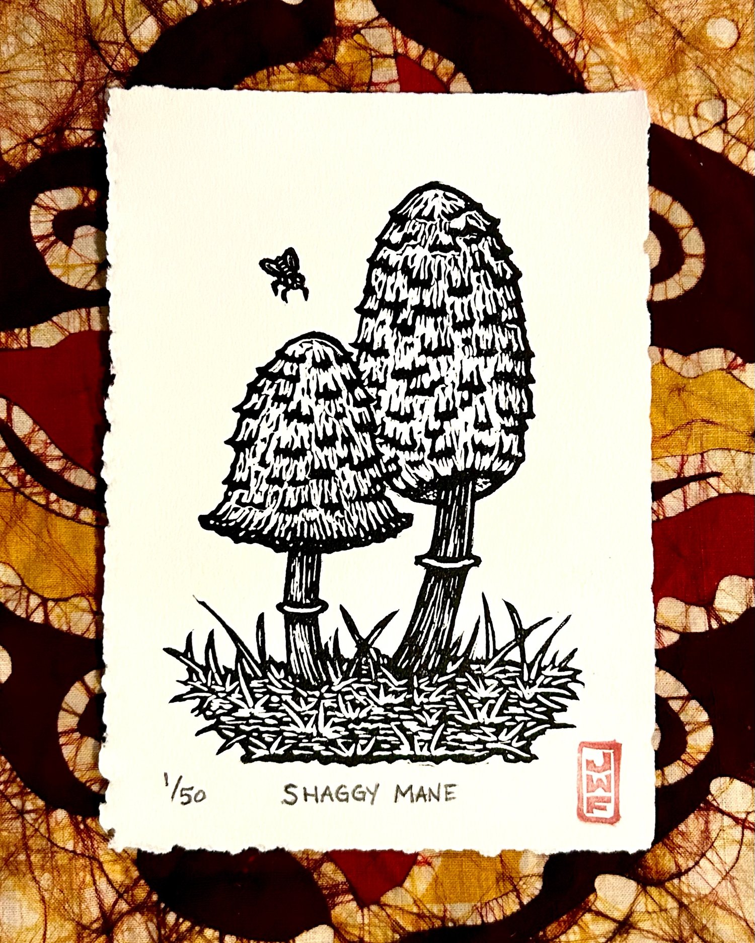 Image of The Fungus Among Us: Monthly Mushroom series