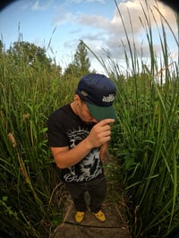 Image 2 of Elephant Collection 