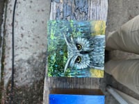 Image 4 of Acrylic Oil and Graphite painting on Wood “Owl in The Bright Woods” by Sheila Cameron copy