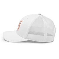 Image 18 of 34 Sweetness Trucker
