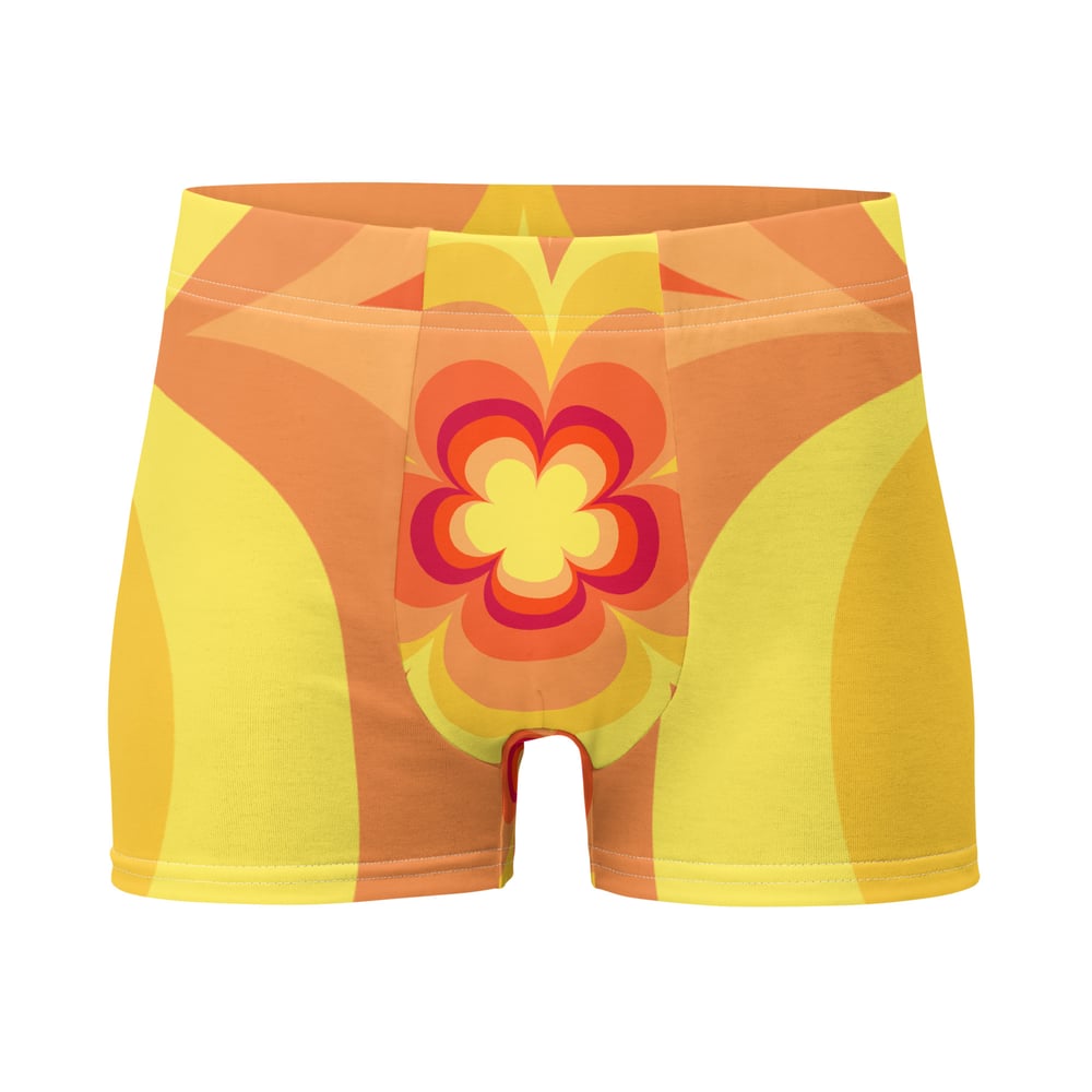 Image of Boxer Briefs