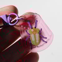 Image 5 of Beetle Jelly Frosted Charms