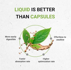 Image of Angelica Herbal Extract