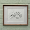 Image 1 of £50 originals - big Shrimp , pointillism