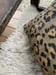 Image of Coussin long léopard