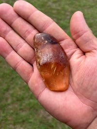 Image 12 of Copal Amber With Preserved Insects #2631