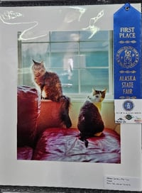 Image 3 of Rice and Gravy- 1st Place Photo at the Alaska State Fair