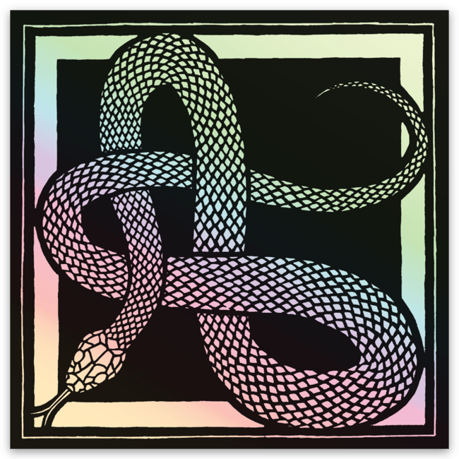 Holographic Sticker // Snake