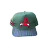 Art Of Fame/ Chicago Bulls Upside Down Logo/ Hunter Green/ Flanel Brim Vintage 5-Panel Hat