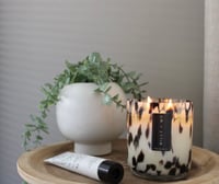 Image 1 of Dalmatian Vogue Luxury Soy Candle