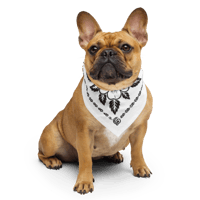 Image 5 of Classic Unisex Bandana