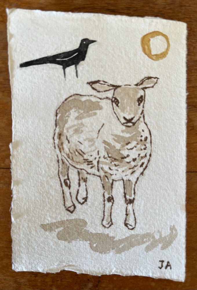 Image of Ewe and crow