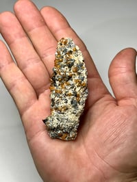 Image 12 of Hessonite Garnets On Matrix Specimen #2450