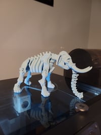 Image 1 of Bone Elephant 