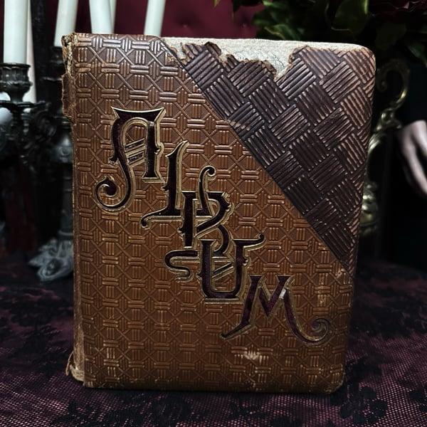 Image of Victorian Cabinet Cards Photo Album 