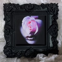 Image 1 of ‘Sweet Desire’ Framed Print
