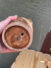 Image 4 of Sweet & Sour Peperomia in Karate Punch Pot