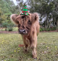 Image 6 of Magical Christmas animal experience with a holiday princess! Snow, music, farm and exotic animals. 