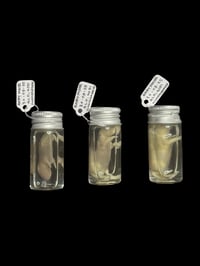 Image 1 of baby mouse wet specimen