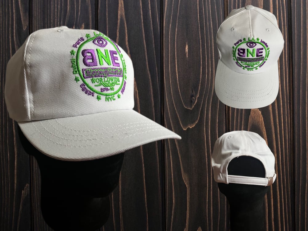 BNE WorldWide Hat 🌍 (purple and green) 