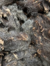 Image 2 of #16 Raw Harting Black Fleece - Dark Grey/Brown