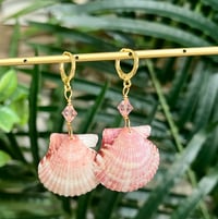 Image 2 of  Scallop Earrings E132 
