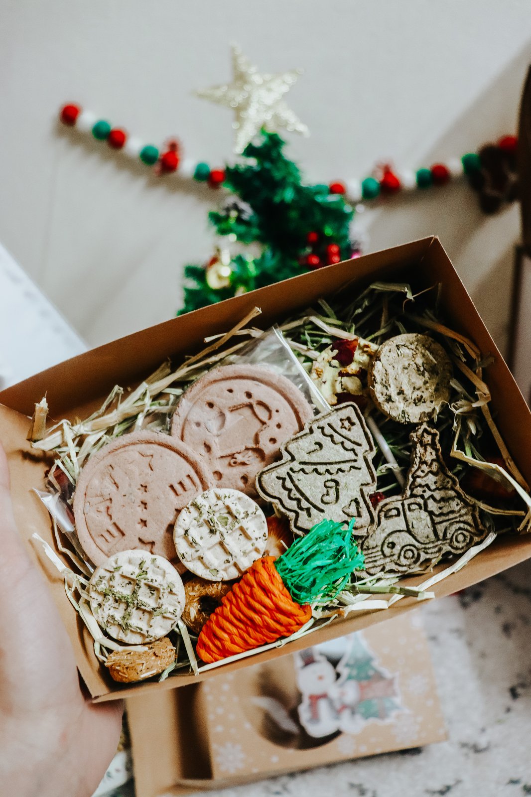 rabbit christmas treats