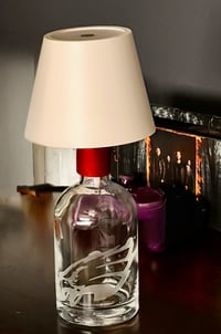 Eagles bottle lamp RESERVED!