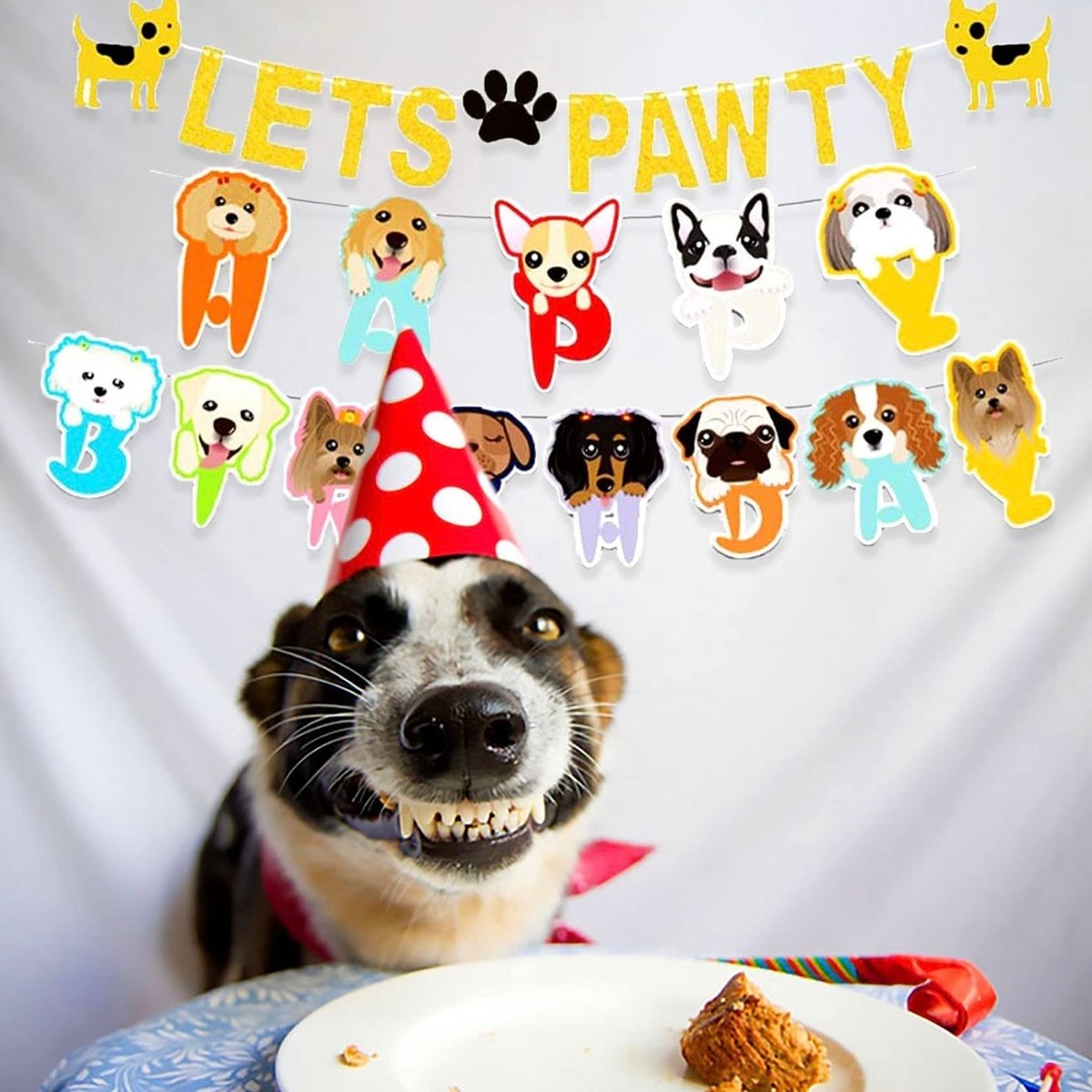 Dog Birthday Banner | Little Evie