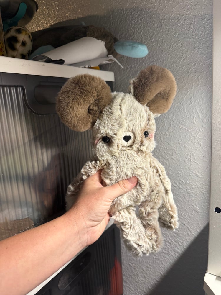 Image of  Snuggly floppy bear
