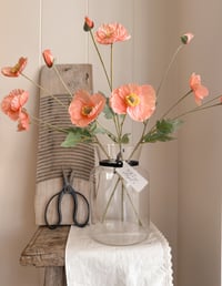 Image 3 of Poppy Bouquets ( 4 options )