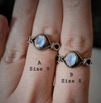 Image 4 of Faceted Moonstone Crystal Rings