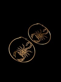 Image 2 of Scorpion Hoops