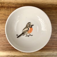 Scarlet Robin Trinket Dish