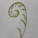 Image 2 of £50 originals - Curled Fern watercolour